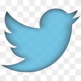 Twitter Png Hd Logo, Transparent Png - twitter png