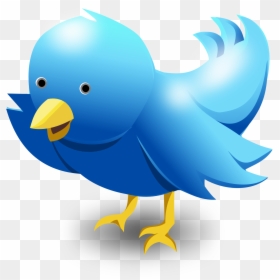 Twitter Bird Images Transparent, HD Png Download - twitter png