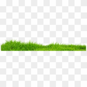 Greengrass Png, Transparent Png - grass png