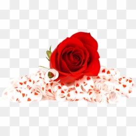 Flowers Red Rose Png, Transparent Png - rose png