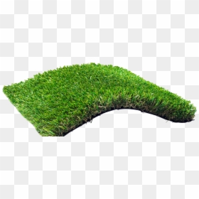 Artificial Grass Png, Transparent Png - grass png