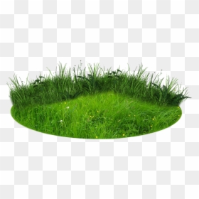 Transparent Background Grass Patch Png, Png Download - grass png