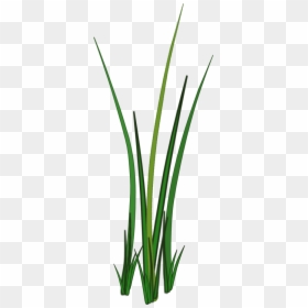Grass Leaf Texture Png, Transparent Png - grass png