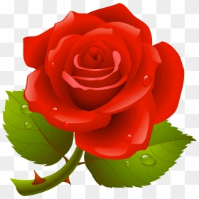 Rose Image Hd Download, HD Png Download - rose png