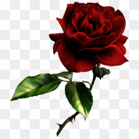 Deep Red Rose Png, Transparent Png - rose png
