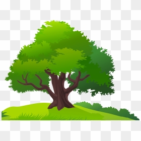 Mango Tree Clip Art, HD Png Download - grass png