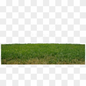 Grass, HD Png Download - grass png