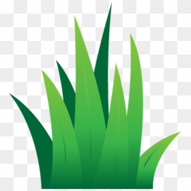 Clipart Tuft Of Grass, HD Png Download - grass png