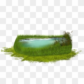 Pond Transparent Background, HD Png Download - grass png