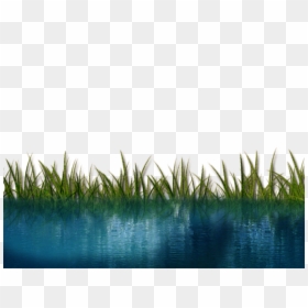 Grass And Water Png, Transparent Png - water png