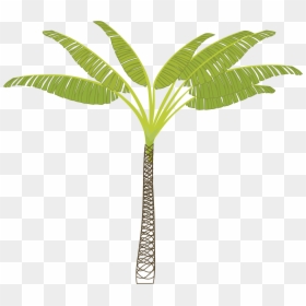 T Shaped Palm Tree, HD Png Download - palm tree png