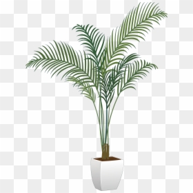 Transparent Background Pot Plant Png, Png Download - palm tree png