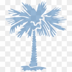 South Carolina Palm Tree Transparent, HD Png Download - palm tree png