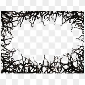Tree Branches Border, HD Png Download - border png