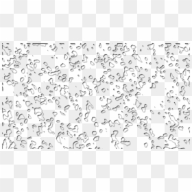 Water Droplets Transparent Png, Png Download - water png
