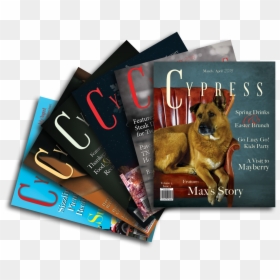Subscribe Png, Transparent Png - subscribe png