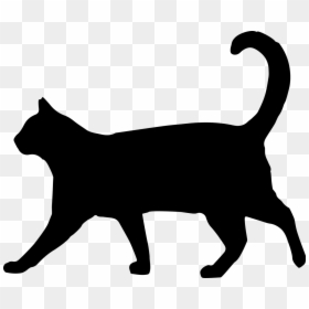 Black Cat Walking Silhouette, HD Png Download - cat png