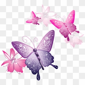 Flowers And Butterflies Png, Transparent Png - butterfly png