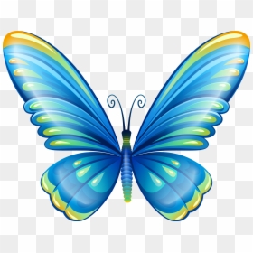 Butterfly Png Clip Art, Transparent Png - butterfly png