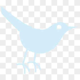 Social Media, HD Png Download - twitter icon png