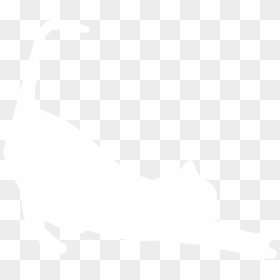 Black Background Cat Silhouette White, HD Png Download - cat png