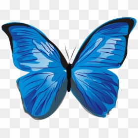 Blue Butterfly Clipart Png, Transparent Png - butterfly png