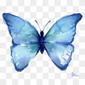 Watercolor Blue Butterfly, HD Png Download - butterfly png
