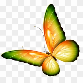 Transparent Butterfly Clip Art, HD Png Download - butterfly png