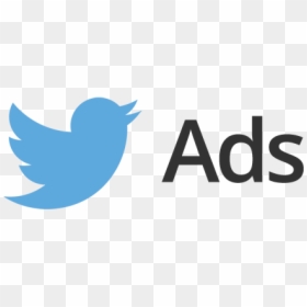 Twitter Ads Logo Transparent, HD Png Download - twitter icon png