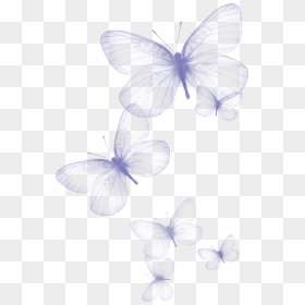 Transparent Background Butterfly Clipart, HD Png Download - butterfly png