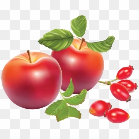 Red Fruits Background Design, HD Png Download - apple png