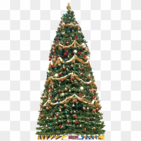 Christmas Tree Png, Transparent Png - christmas tree png