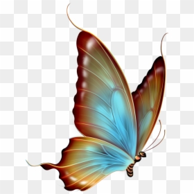 Transparent Background Butterfly Clipart Png, Png Download - butterfly png
