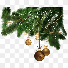Christmas Tree Png File, Transparent Png - christmas tree png