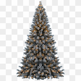 Merry Christmas Justin Bieber, HD Png Download - christmas tree png