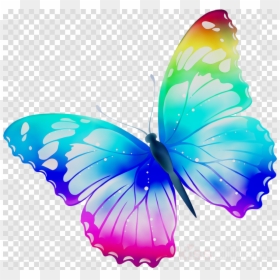 Transparent Background Butterfly Clipart, HD Png Download - butterfly png