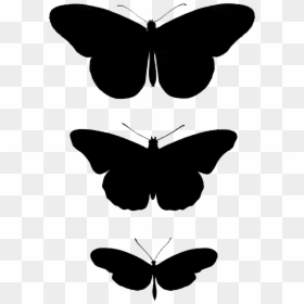 Brush-footed Butterfly, HD Png Download - butterfly png