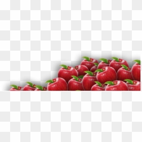 Lot Of Apples Png, Transparent Png - apple png