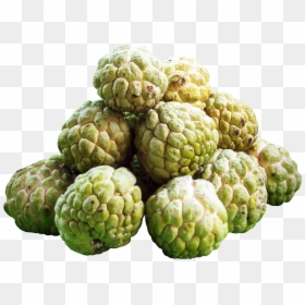 Custard Apple Png, Transparent Png - apple png