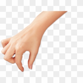 Wrist, HD Png Download - hand png