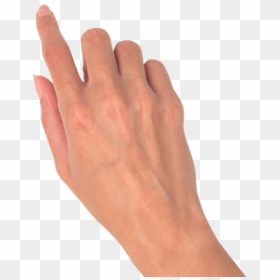 Female Hand Hand Png, Transparent Png - hand png
