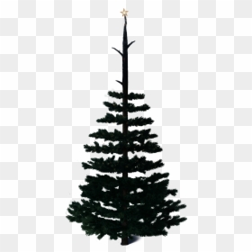 Christmas Tree Png, Transparent Png - christmas tree png