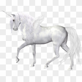 Realistic Black Unicorn Png, Transparent Png - unicorn png