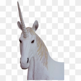 Licorne Png, Transparent Png - unicorn png