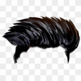 Hair Png For Editing, Transparent Png - hair png
