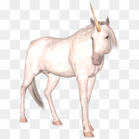 Unicorn, HD Png Download - unicorn png