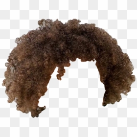 Afro Hair Png, Transparent Png - hair png