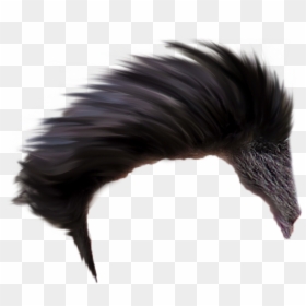 Best Hair Style Png, Transparent Png - hair png