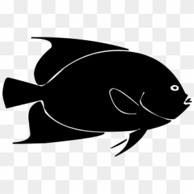 Pomacentridae, HD Png Download - fish png