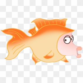Goldfish, HD Png Download - fish png